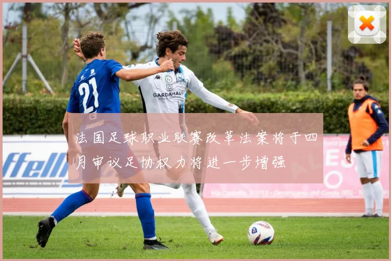 法国足球职业联赛改革法案将于四月审议足协权力将进一步增强